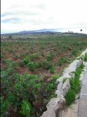 Island Amantani49